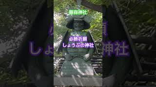 必勝祈願・しょうぶの神社/京都・藤森神社・満開の紫陽花#shorts #京都観光スポット#藤森神社#紫陽花