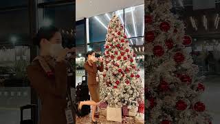 𝐎𝐙𝕚𝕔 ℂ𝕣𝕖𝕨🎄크리스마스라 오히려 좋아