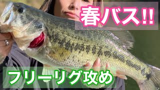 【フリーリグに挑戦】レンタルボートでバス釣り