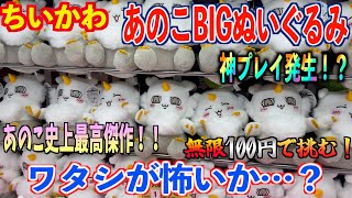 【ちいかわ】衝撃の登場『あのこBIGぬいぐるみ』を無限100円で挑んでみた結果…まさかの神プレイ？あのこ史上最高傑作をご紹介！