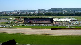 【ふぁん目線】東京競馬場・馬主席から見たレース