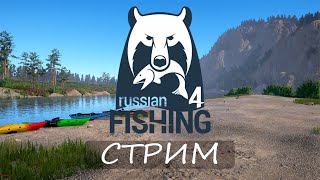 Русская рыбалка 4🐟 В поиске трофеев!