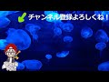 【超速gp】イベント攻略！コジマからの挑戦状セッティング公開！【ミニ四駆超速グランプリ攻略】