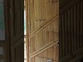 #BambooHouse #bahaykubo #nipahut #bamboo #janobahaykubo