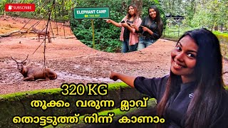 Kodanad elephant training centre | Ernakulam | Best place to visit with family | Abhayaranyam