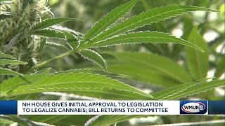 NH House gives initial approval to cannabis legalization bill