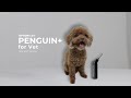 OPCOM Care Penguin+ Vet | Comprehensive Ear Care for Your Pets