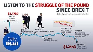 The turbulent times of Sterling following Brexit referendum - Daily Mail