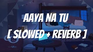 Aaya Na Tu - [ Slowed + Reverb ] Arjun Kanungo | Momina Mustehsan | Last Night Vibes