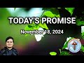 Today's Promise | November 18, 2024