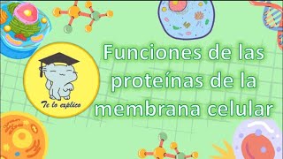 Funciones de las Proteínas de la Membrana Celular