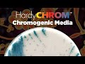 HardyCHROM™ a complete offering of Chromogenic Media