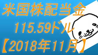 【不労所得報告】米国株配当金は115.59USドルでした！【2018年11月】