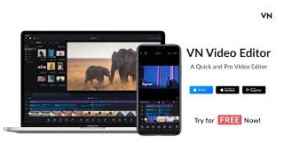 2020 A Quick and Pro Video Editor  - VN for Mac