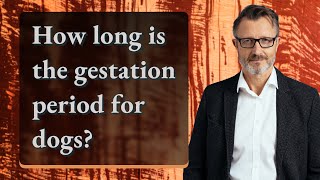How long is the gestation period for dogs?