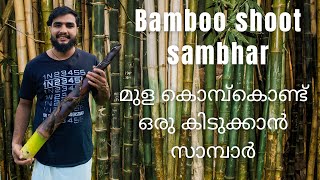 Bamboo Shoot Sambar| മുഴകൊമ്പ് സാമ്പാർ| Promo| #Panjapakam|