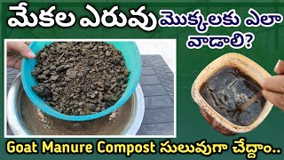 మేకల ఎరువు మొక్కలకు ఎలా వాడాలి? Goat Manure for Plants /Goat Manure Compost/Goat Manure Fertilizer