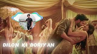 Dilon Ki Doriyan Slowed And Reverd | Hindi New Song