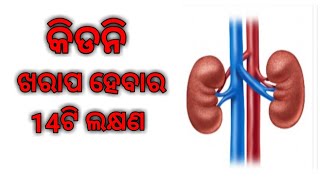 କିଡନୀ ଖରାପ ହେବାର 14 ଟି ଲକ୍ଷଣ// 14 Symptoms of kidney//Utkal Gyana//odia//