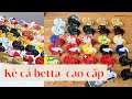 Đồ chơi cá Betta cao cấp dành cho dân ghiền Betta ✩ 0932548988 Shop Betta Bình Dương