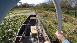 Gator-Glide canoe, shallow vegetation test G2