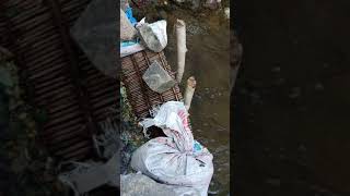 Bamboo net fishing in the river bamboo fishing மூங்கில் வளை பரி மீன் பிடித்தல் மூங்கில் பறி