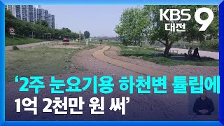 ‘2주 눈요기용 하천변 튤립에 1억 2천만 원 써’…예산낭비 논란 / KBS  2022.05.05.