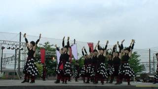 富有樂猩　　第９回犬山踊芸祭(2012)