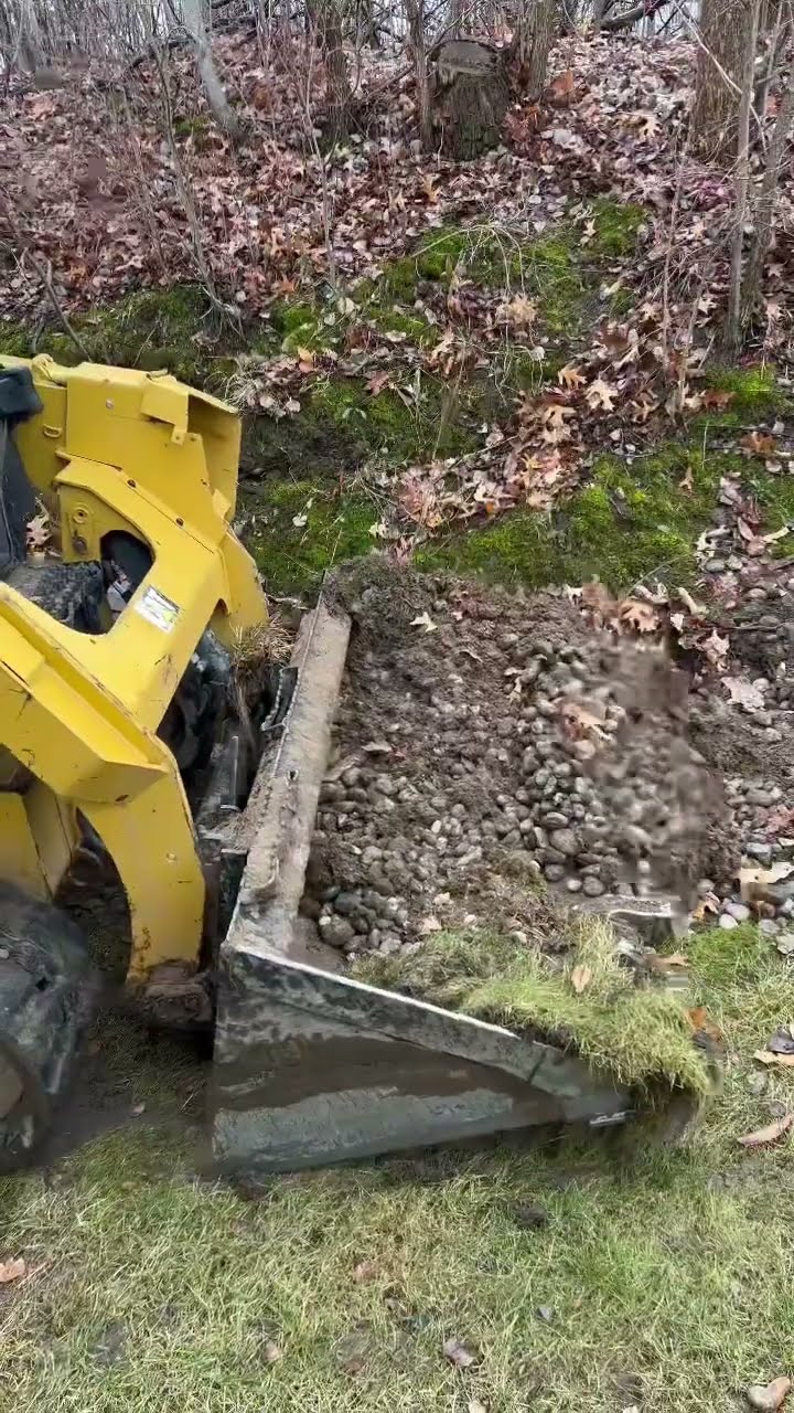 Check Out This Caterpillar 259d Grading Back Yard Shorts Youtube Check Out This Caterpillar 259d Grading Back Yard Shorts Youtube