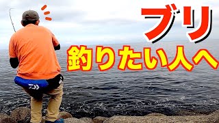 知ってると釣果UP！ブリ釣る為の３つのヒント！