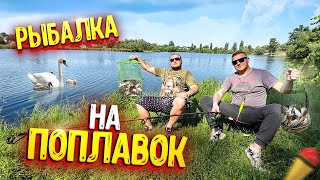 РЫБАЛКА НА ПОПЛАВОК! НАЛОВИЛИ НА ТАРАНКУ!