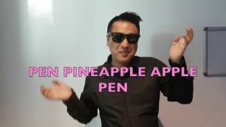 PPAP office (pen pinapple pen with visuals)