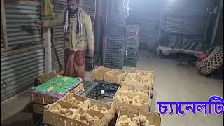 এ গ্রেট হাস ও মুরগির  বাচ্চার জন্য যোগাযোগ করুন | Duck Farm In Bangladesh || Grameen Khamar Tv.