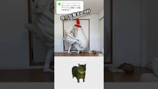 [OIIAOIIA Cat] I thought it was a cool sound but it was my mom #viral #greenscreencats #chickenmom