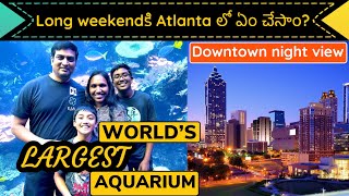 World's Largest Aquarium | Atlanta Downtown | Long Weekend Trip | USA Telugu Vlogs |Telugu Vlogs USA
