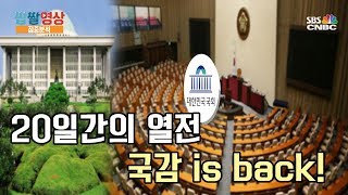 [짭짤영상 집중분석] 20일간의 열전…국감 is back!