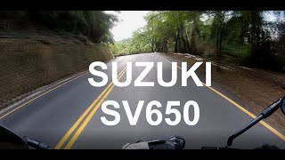 武嶺行 SUZUKI SV650