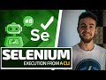 Python Selenium Full Series - Execution from a CLI [Web Bots and Testing]