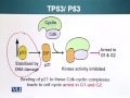 topic 145 bio201 cell biology