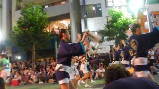 ひよこ連　２０１７　高円寺阿波踊り