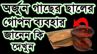 10 magical benefits of Arjuna bark, অর্জুন গাছের ছালের ১০ টি তারতম্য উপকারিতা || Bsk