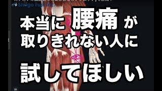 ガチガチの腸脛靭帯の硬さはこのテクニック↓で解消！【腰痛　ストレッチ】　Intestinal tibial ligament technique