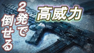 【R6S】２発で倒せる!?条件が揃えば最強に 【レインボーシックス シージ】