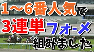 【競馬検証】1～6番人気で3連単フォーメーションを組みました！もちろん、過去の回収率は100％を超えてます。【阪神競馬場】