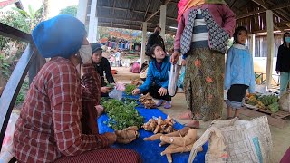 ตลาดเช้าวันเสาร์หนองเขียว เมืองงอย แขวงหลวงพระบาง (ต่อ) Nongkhiaw, Luang Prabang, Laos.