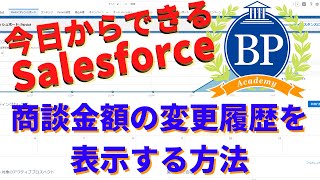 【今日からできるSalesforce】商談金額の変更履歴