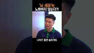 뇌 세포는 노화하지 않는다고?! | 몸짱약사 민재원 뇌과학자 최한경 교수