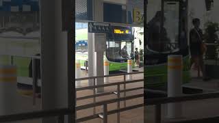 [EXCLUSIVE \u0026 PERMANENT] SBS7367Y Volvo B9TL (CDGE) on Service 46 #shorts