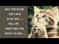 THE CAT .. One Way Wind .. lyrics cat