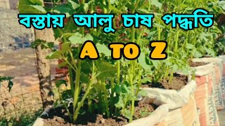 বস্তায় আলু চাষ পদ্ধতি|| Bostai Alo Chas podotti||